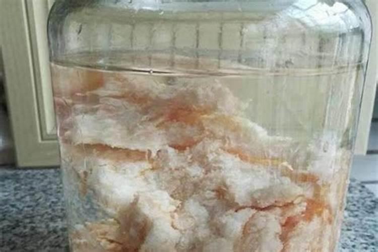 太岁的功效和作用有哪些
