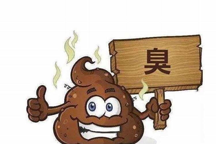 厕所布局:不能对大门也不能近大门,很容易造成破财、漏财的现象
