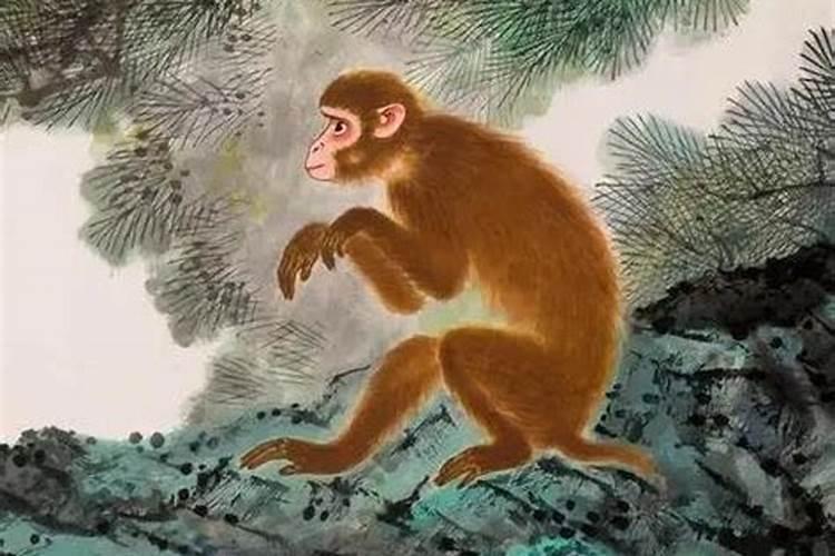 属猴2025年犯太岁吗