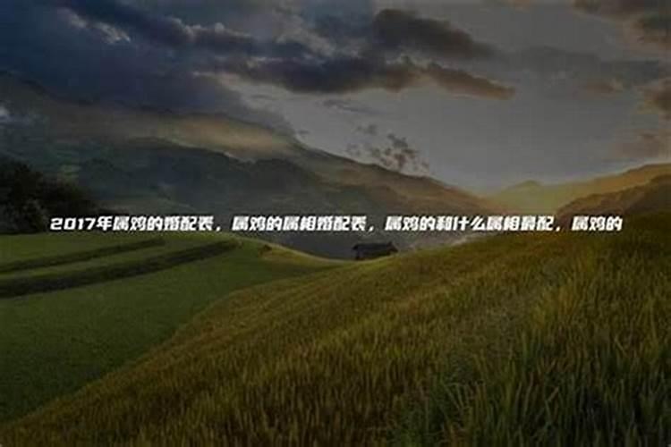 成都哪里有看相算命很准的人