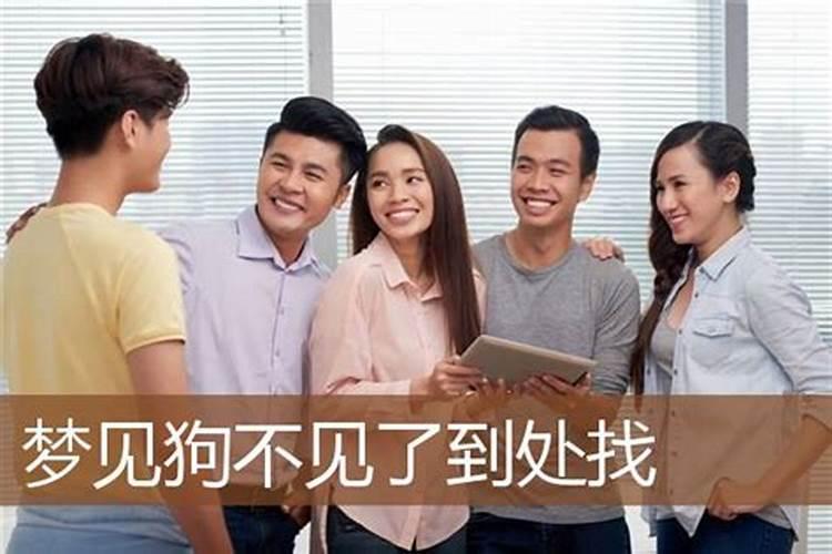 2025年属猪的全年运势