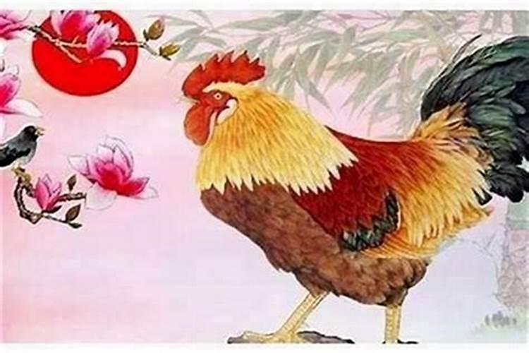 梦见梦看见新娘穿一生红衣服的预兆