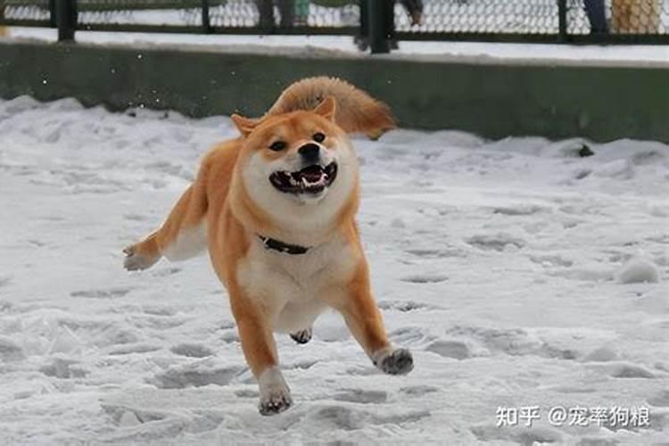 财运不好怎么转运 财运不好转运方法
