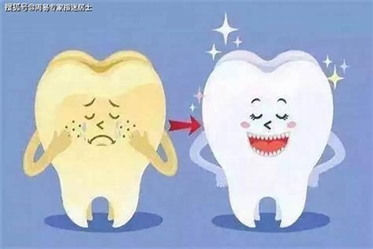 十二月有什么节日