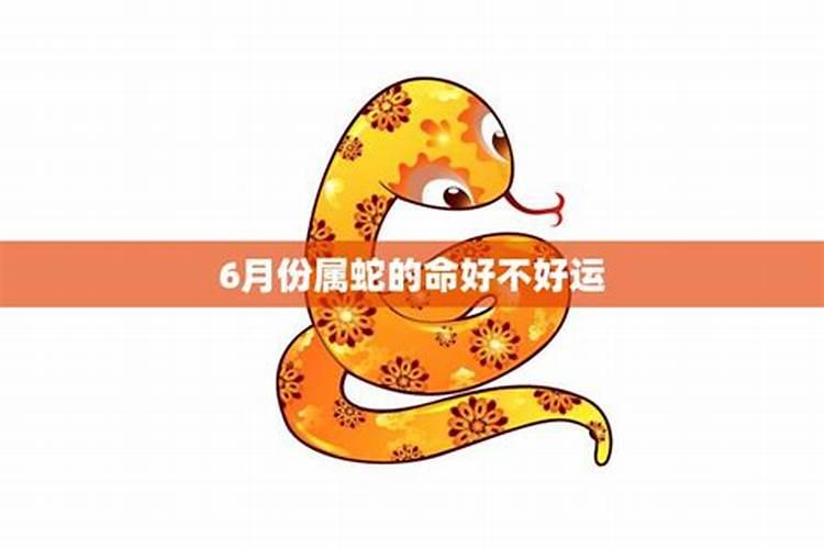 属蛇人2025年每月运势运程每月