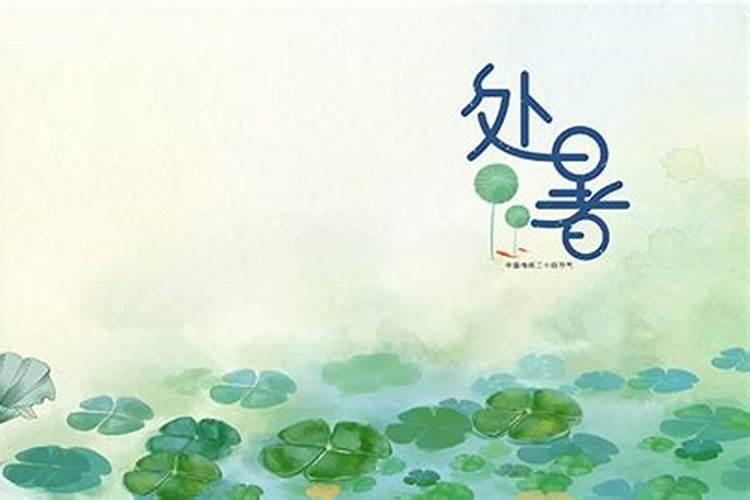 处暑与立秋有什么区别呀？