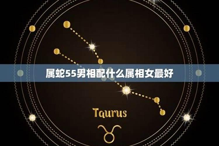 男属蛇和什么属相最配