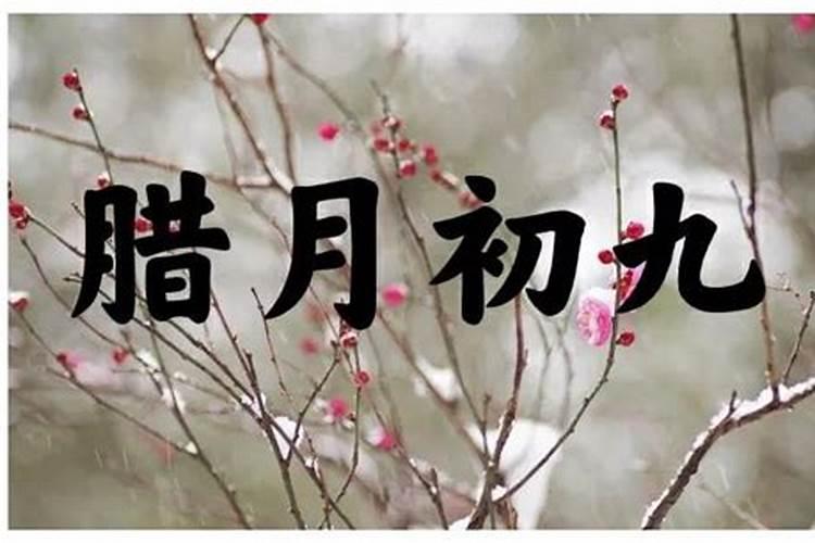 2025春节时间几月几日