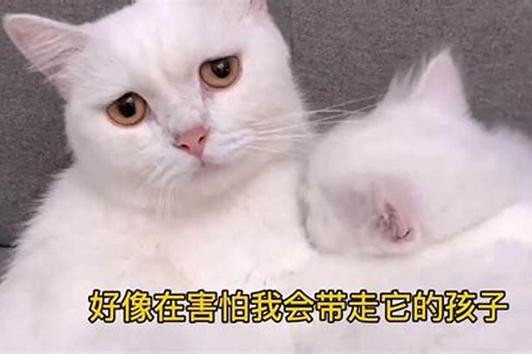 2024年阴历十月初一是黄道吉日吗