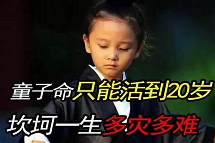 属龙的男女属相婚配表大全？