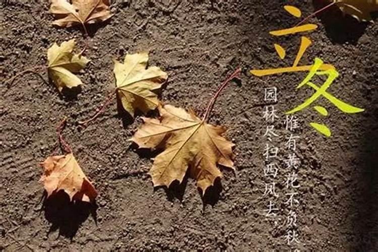 立冬的习俗风俗习惯有哪些