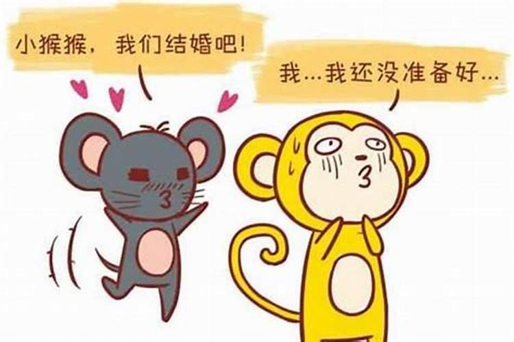 生肖蛇1965年2025年运势如何 生肖蛇1965年2025年全年运势
