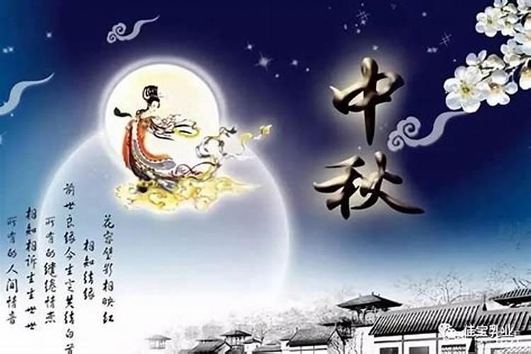 为什么大家都在冬至买鸡药炖鸡补身体啊
