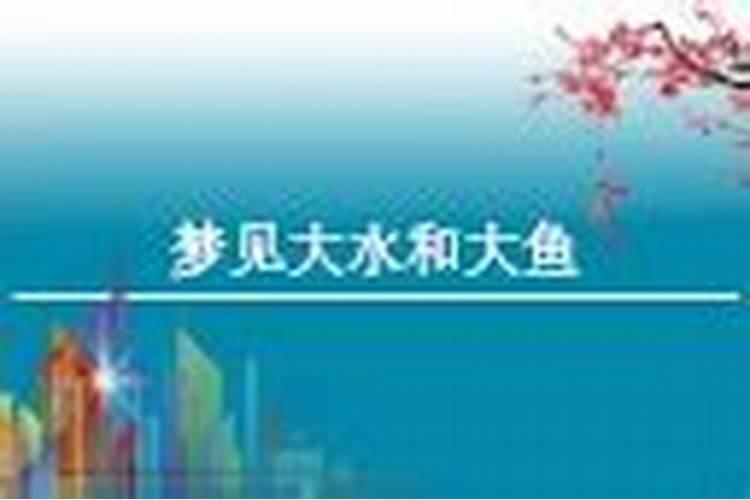 梦见一大片水和鱼的预兆