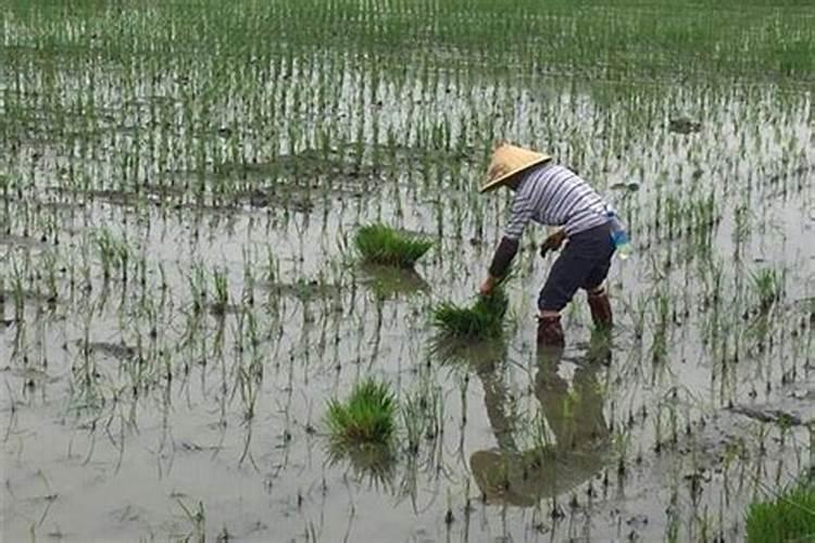 2020国债发行时间表及利率是什么2020国债发行时间表及利率一览