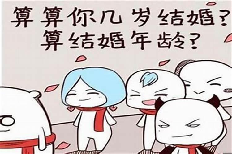 1981年属鸡男士2025运势