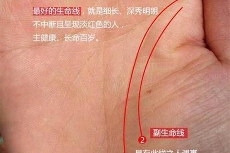 生命线短寿命就短吗 女人生命线短寿命就短吗