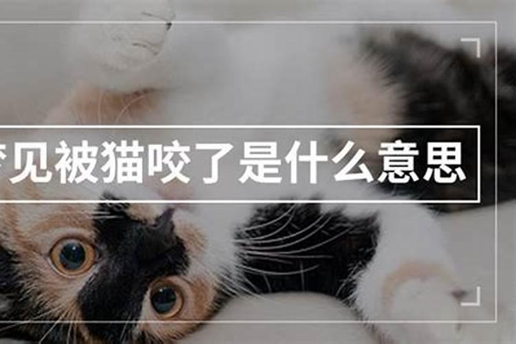 二月初一还钱有讲究吗