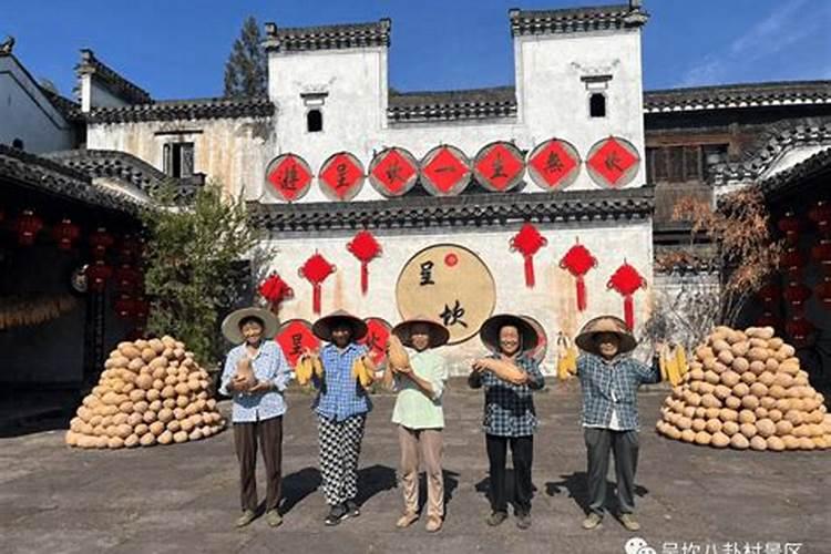 女人梦见猫下崽是吉兆吗