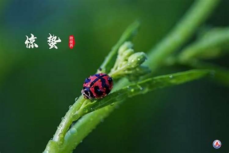 2025年小年禁忌