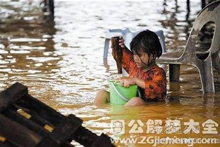 梦见老虎追我是什么预兆