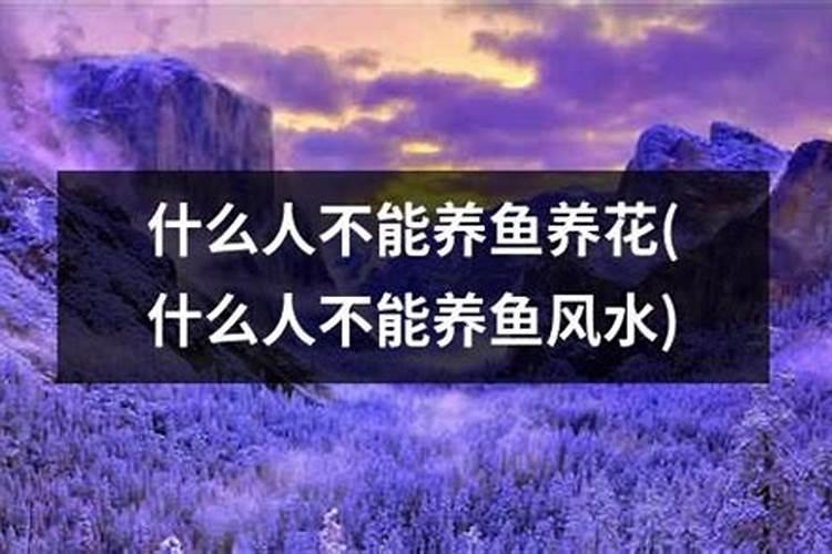 阳历7月15日是什么星座