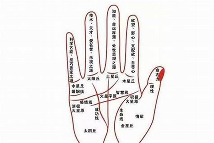 看手相算命的可信吗