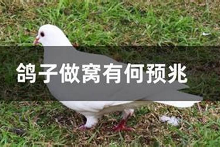 清明节不能下午上坟吗