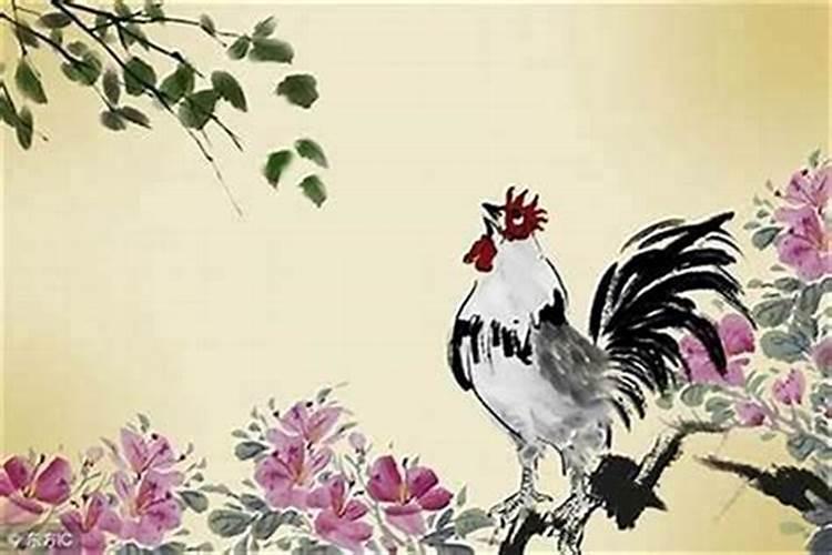 1993年属鸡阴历3月15中午11点半出生说法