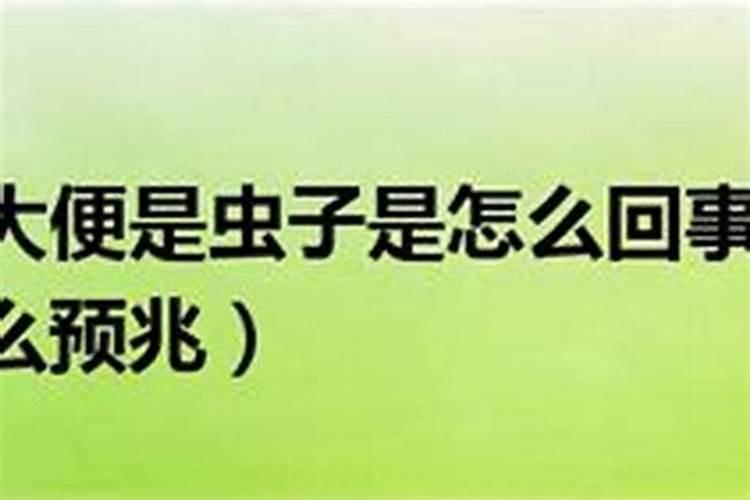 孕妇梦见好多虫子是什么意思