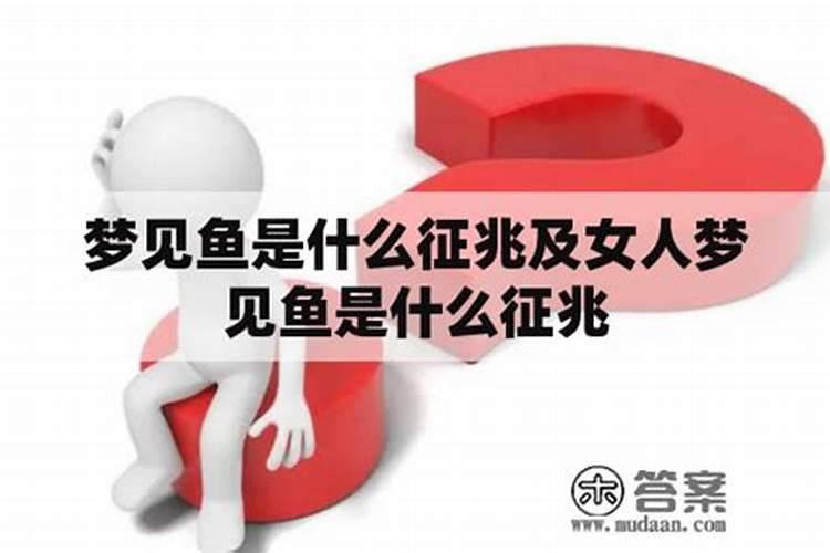 女人梦见很多鱼
