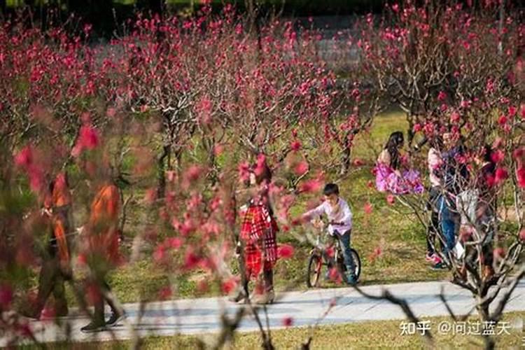 怎么化解桃花劫