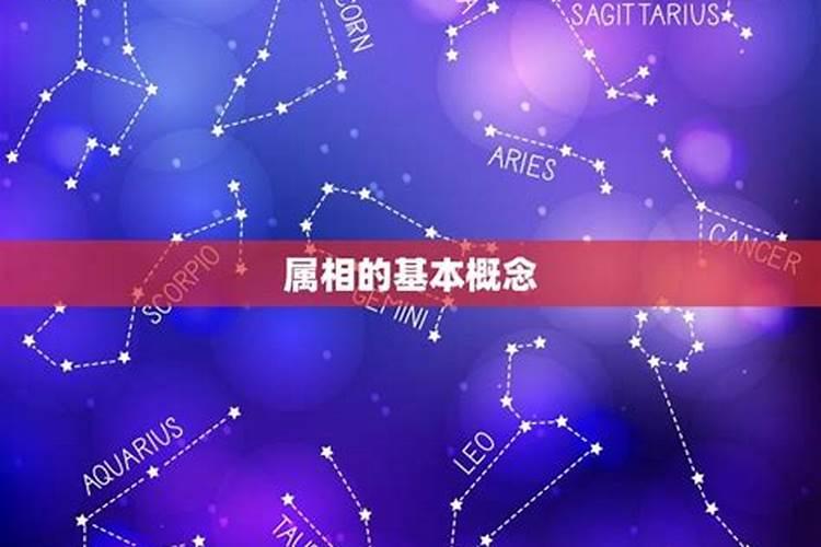 结婚属相很重要吗