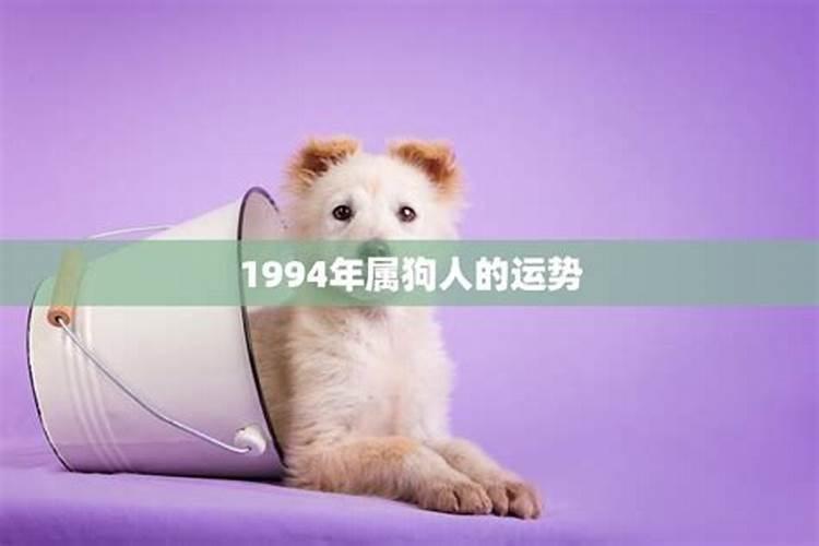 94年狗2025年的运势
