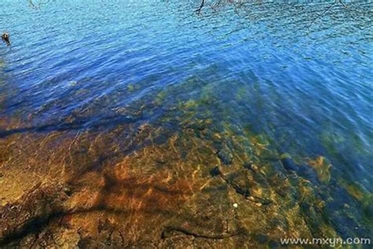 梦见山洪顺流而下的预兆