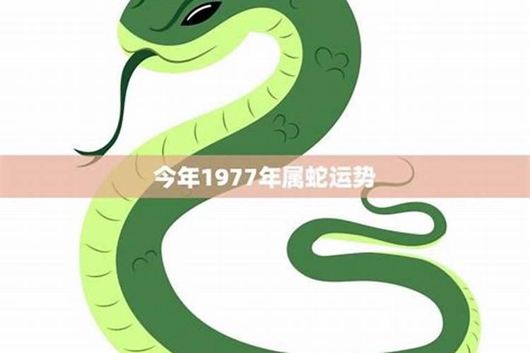 八字命理,盲派八字十天干五合丁壬合