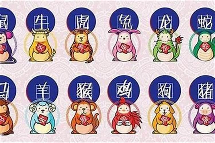 羊女跟什么生肖配对蕞好