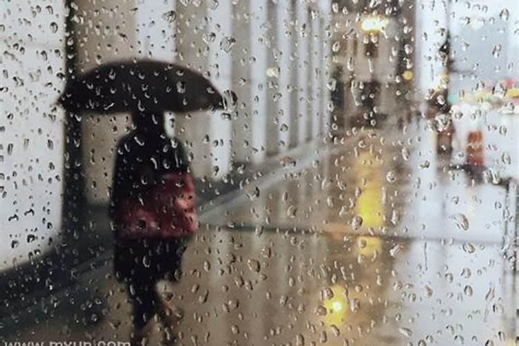 孕妇梦见下雨被淋湿的周公解梦
