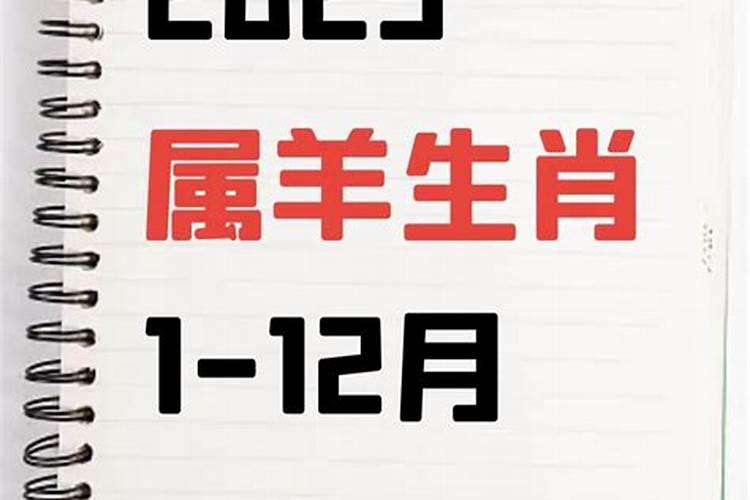1985年正月初二的女人今年的财运命运婚姻怎样