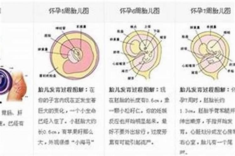 财神的意思财神的意思是什么