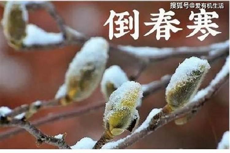 梦见自己的老板喜欢自己的预兆