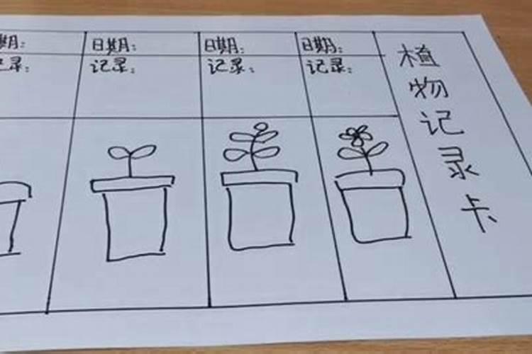 荆州一外卖员为救落水老人不幸溺亡,你如何看待他的做法？