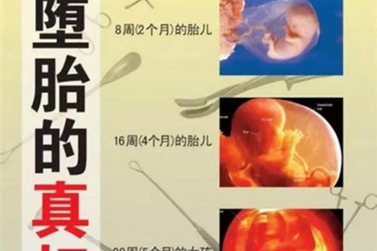 流产的婴儿有灵魂吗佛法莲蓬鬼话  百度宝宝知道