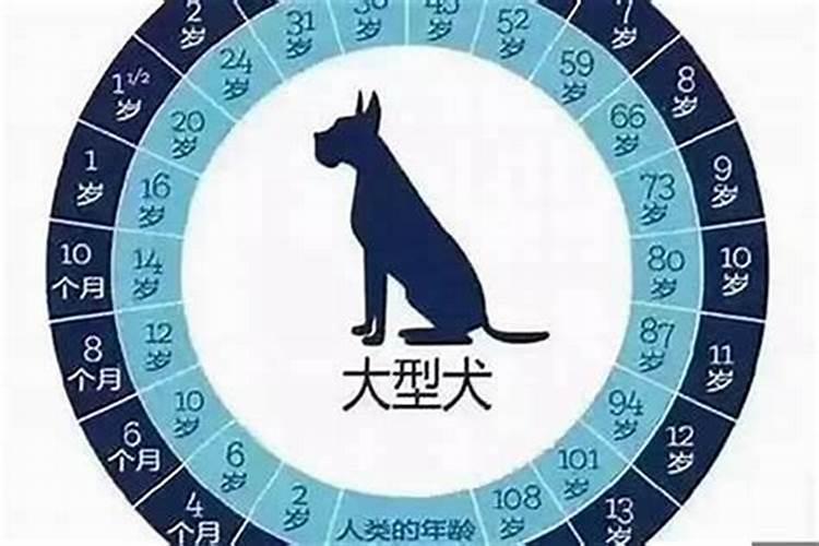 别人骂你傻,如何用一句经典的话还击!
