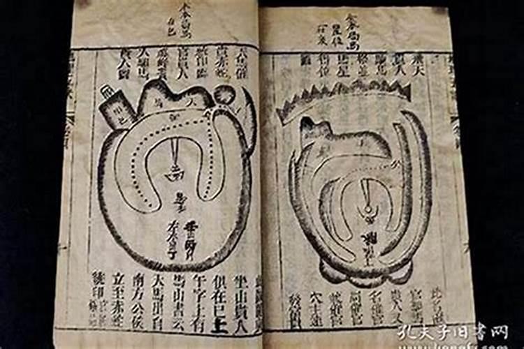 戊土是湿土还是燥土