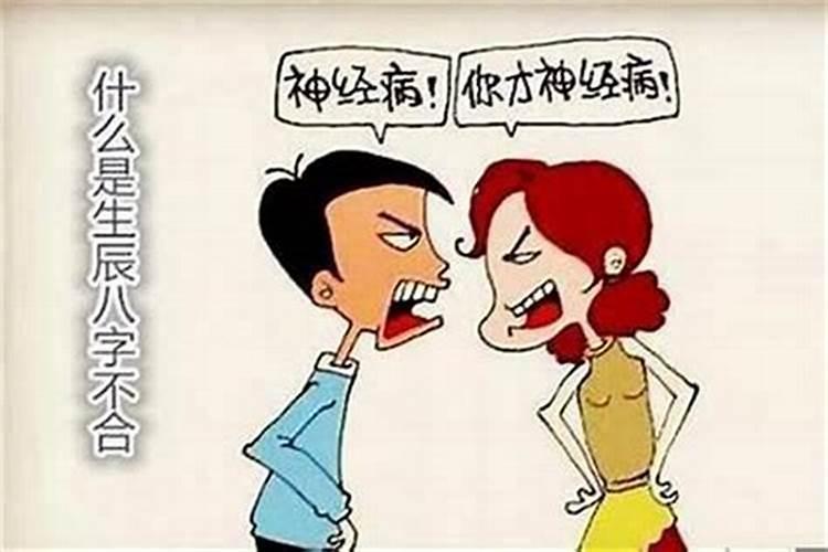 龙在蛇年运势怎么样