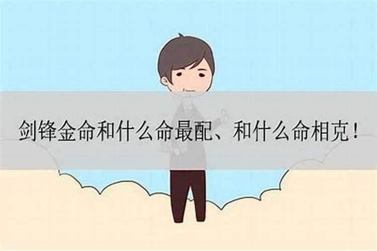涧下水和剑锋金合不合 剑锋金的最佳婚配