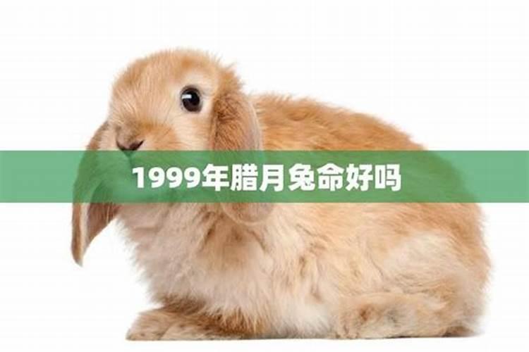 梦见自己的哥哥死了装在黑色的棺材里!