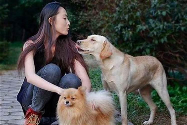 属狗女和属羊男婚姻相配吗 二人并不投缘
