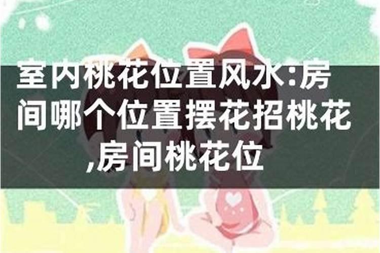 卧室桃花位放什么最旺
